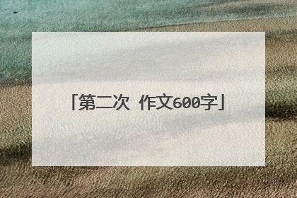第二次 作文600字