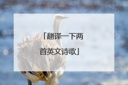 翻译一下两首英文诗歌