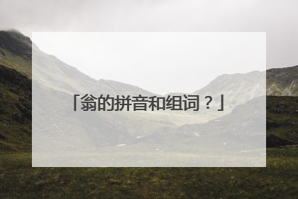 翁的拼音和组词?