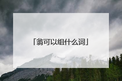 翁可以组什么词