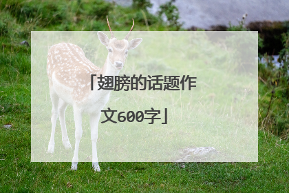 翅膀的话题作文600字