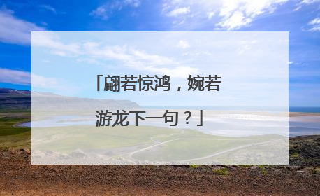 翩若惊鸿，婉若游龙下一句？