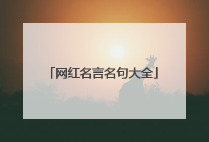 网红名言名句大全