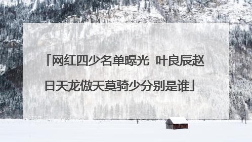网红四少名单曝光 叶良辰赵日天龙傲天莫骑少分别是谁