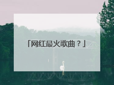 网红最火歌曲？