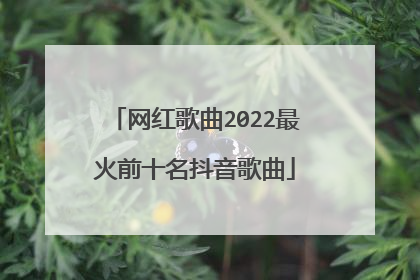 网红歌曲2022最火前十名抖音歌曲
