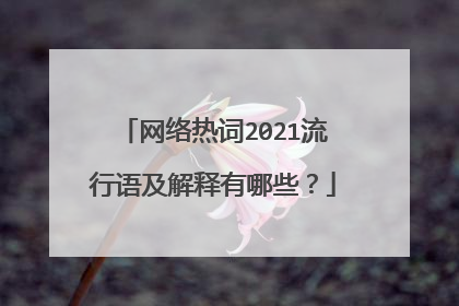 网络热词2021流行语及解释有哪些？
