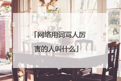 网络用词骂人厉害的人叫什么