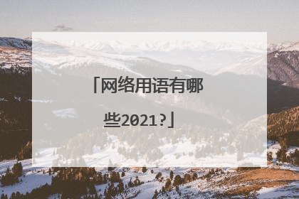 网络用语有哪些2021?