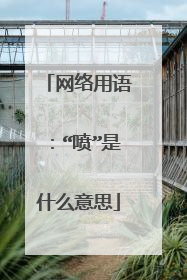 网络用语:“喷”是什么意思