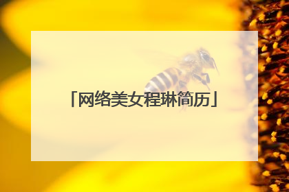 网络美女程琳简历