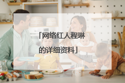 网络红人程琳的详细资料