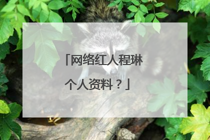 网络红人程琳个人资料？