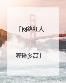 网络红人程琳多高