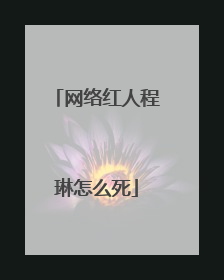 网络红人程琳怎么死