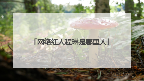 网络红人程琳是哪里人