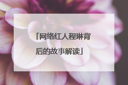 网络红人程琳背后的故事解读