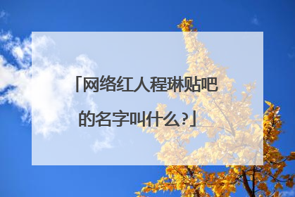 网络红人程琳贴吧的名字叫什么?