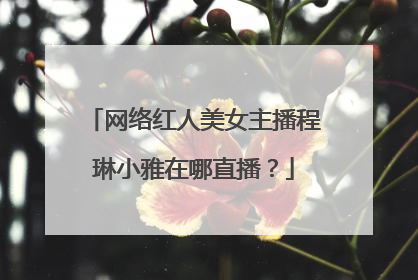 网络红人美女主播程琳小雅在哪直播?