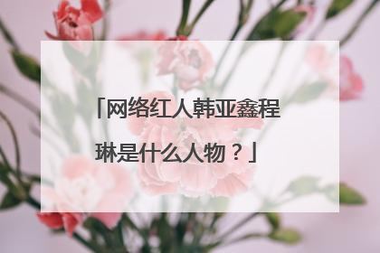 网络红人韩亚鑫程琳是什么人物?