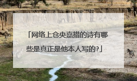 网络上仓央嘉措的诗有哪些是真正是他本人写的?