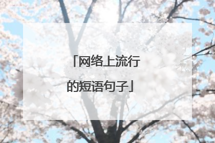 网络上流行的短语句子