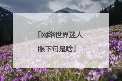 网络世界迷人眼下句是啥