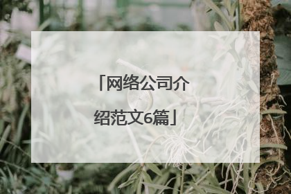 网络公司介绍范文6篇