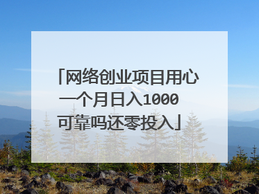 网络创业项目用心一个月日入1000可靠吗还零投入