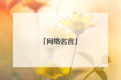 网络名言