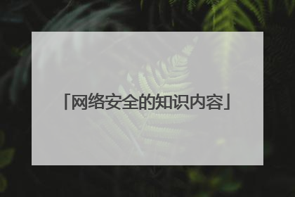 网络安全的知识内容
