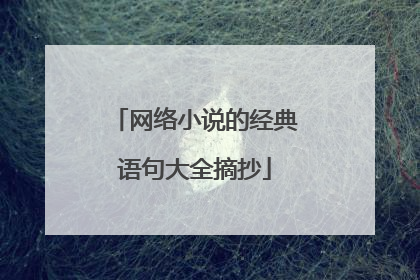 网络小说的经典语句大全摘抄
