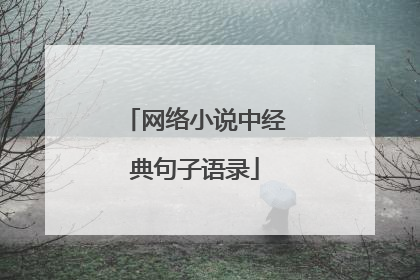 网络小说中经典句子语录