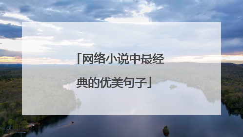 网络小说中最经典的优美句子