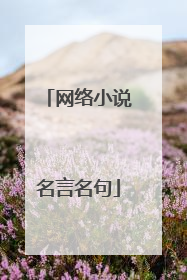 网络小说名言名句