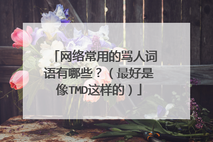 网络常用的骂人词语有哪些?(最好是像TMD这样的)