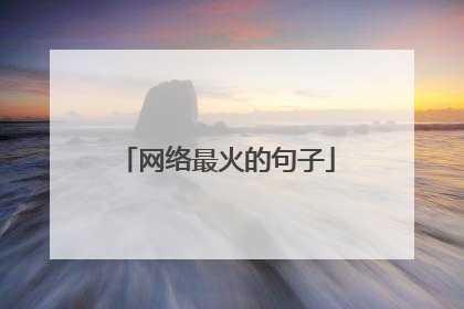 网络最火的句子