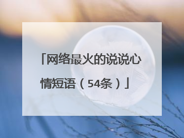 网络最火的说说心情短语(54条)