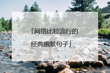网络比较流行的经典幽默句子