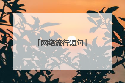 网络流行短句
