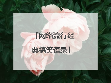 网络流行经典搞笑语录