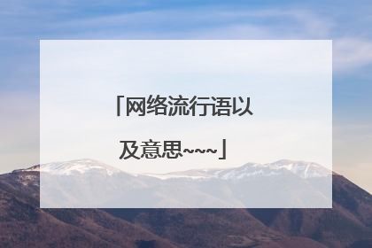 网络流行语以及意思~~~