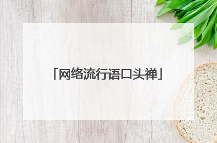 网络流行语口头禅