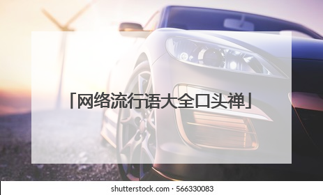 网络流行语大全口头禅