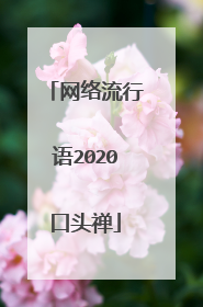 网络流行语2020口头禅
