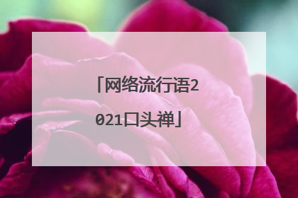 网络流行语2021口头禅