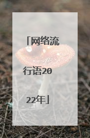 网络流行语2022年