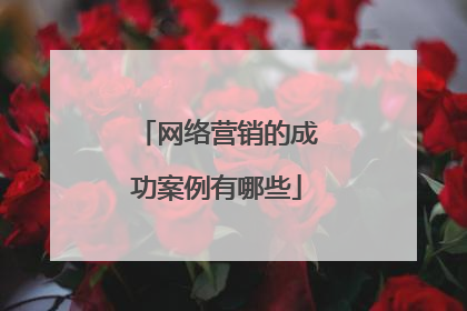 网络营销的成功案例有哪些