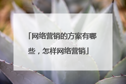 网络营销的方案有哪些，怎样网络营销