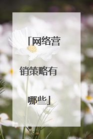 网络营销策略有哪些